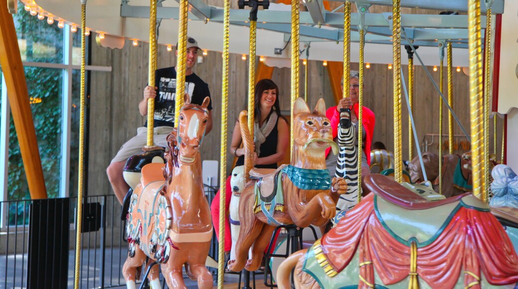 Photo provided by Landon Sveinson Photography/Tourism Vancouver Island