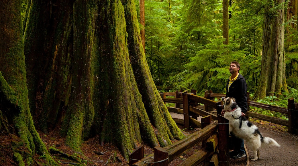 Foto fornecida por Landon Sveinson Photography/Tourism Vancouver Island