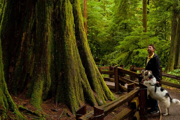 Parque provincial MacMillan ofreciendo escenas forestales y también un hombre