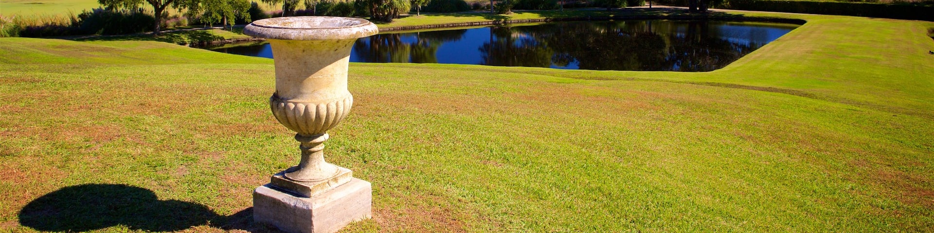 Middleton Place qui includes lac ou étang, scènes tranquilles et jardin