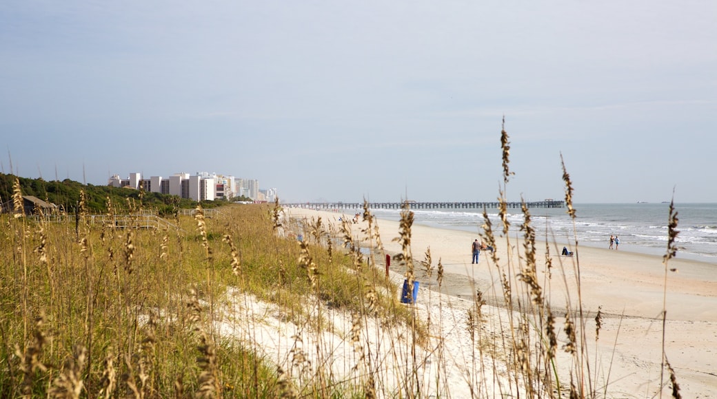 Myrtle Beach State Park mit einem allgemeine Küstenansicht und Sandstrand