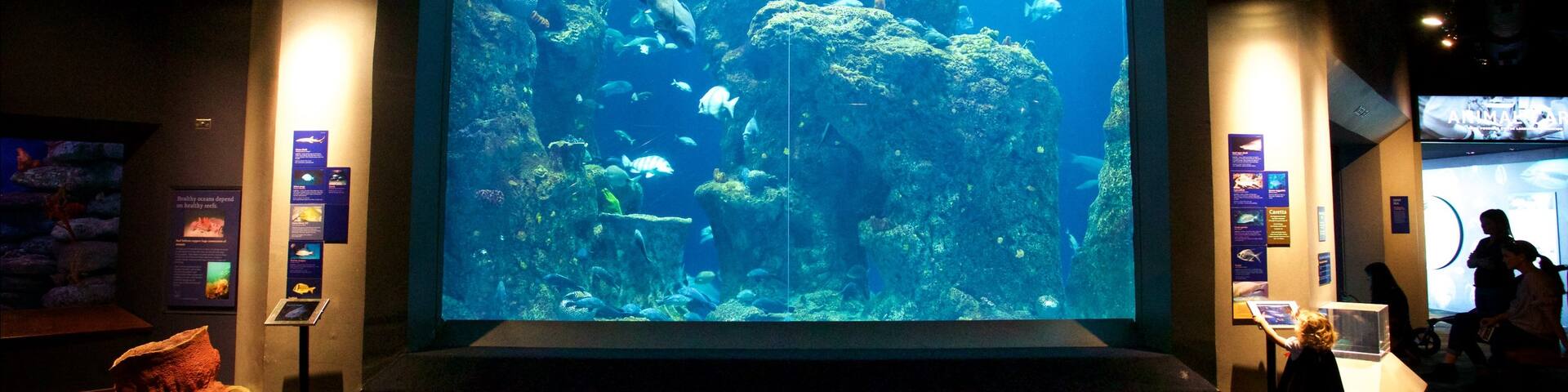 South Carolina Aquarium