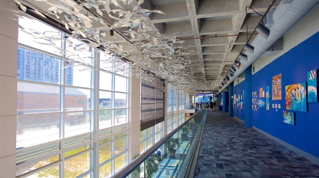 South Carolina Aquarium