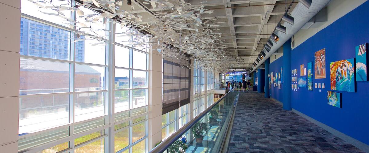 南卡罗来纳水族馆