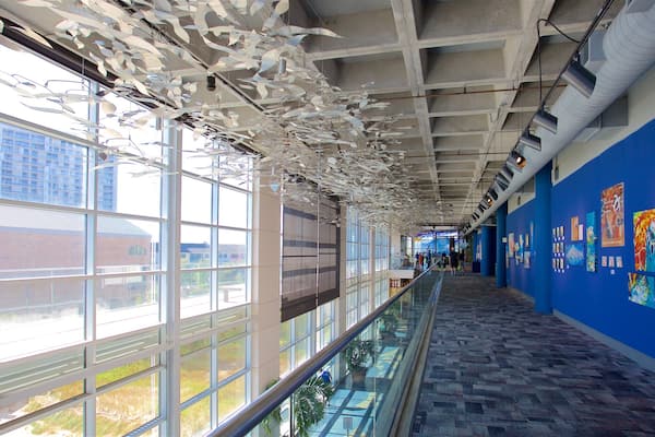 South Carolina Aquarium montrant vie marine et vues intérieures