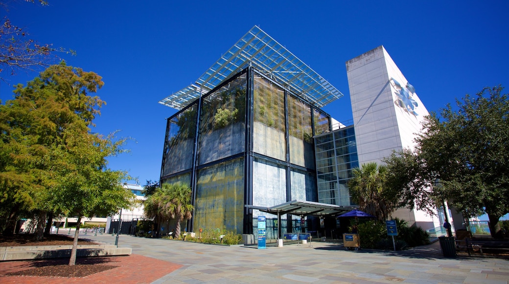 South Carolina Aquarium mostrando una plaza y arquitectura moderna