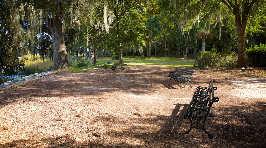 Drayton Hall ofreciendo un jardín