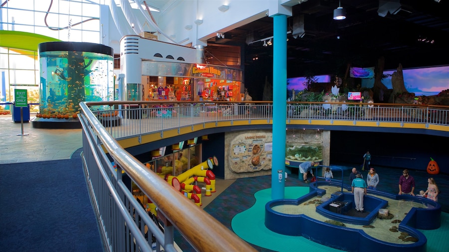 Ripley\'s Aquarium bevat zeedieren en interieur