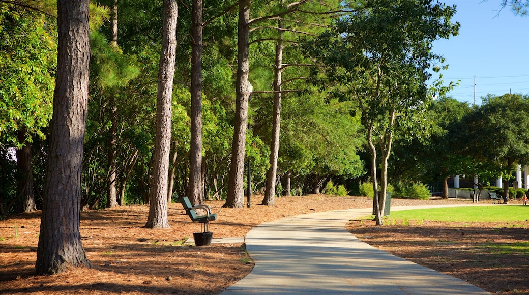 Finley Park