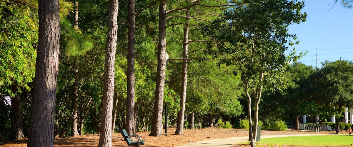 Finley Park