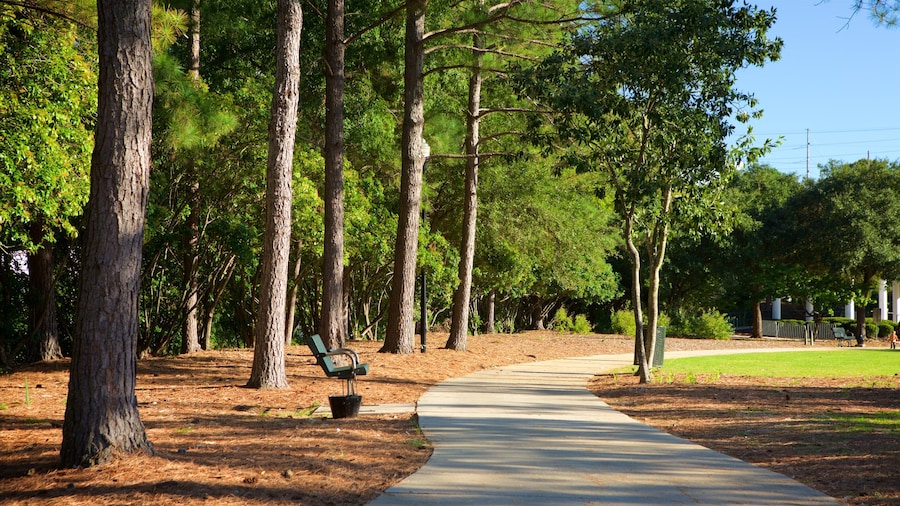 Finley Park caratteristiche di giardino