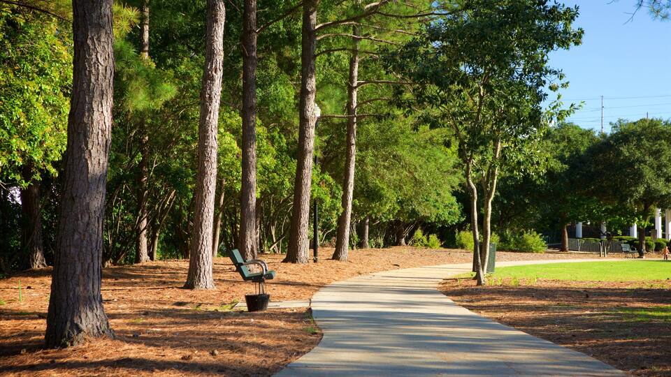 Finley Park showing a garden