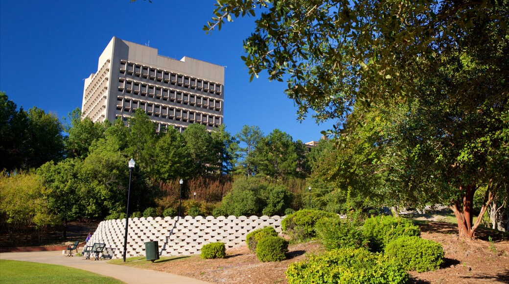 Arsenal Hill which includes a park