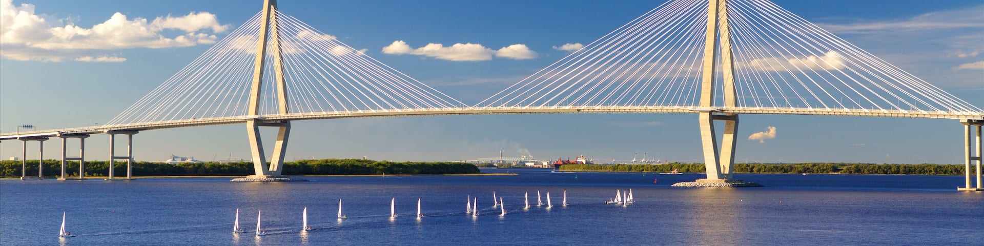 Arthur Ravenel Jr. Bridge