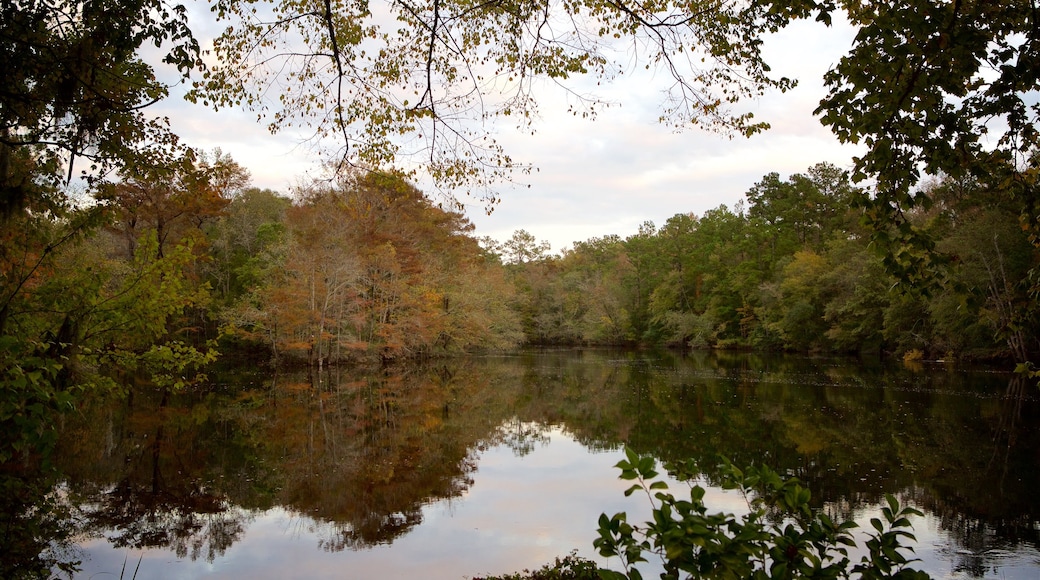 Conway Riverwalk showing a river or creek and wetlands