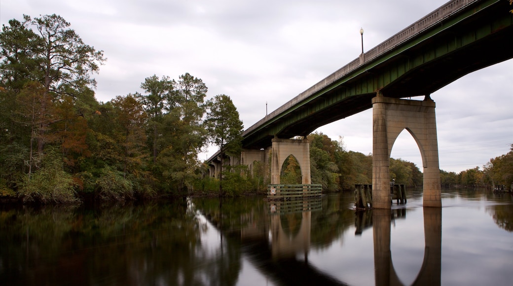 Conway Riverwalk che include ponte, palude e fiume o ruscello