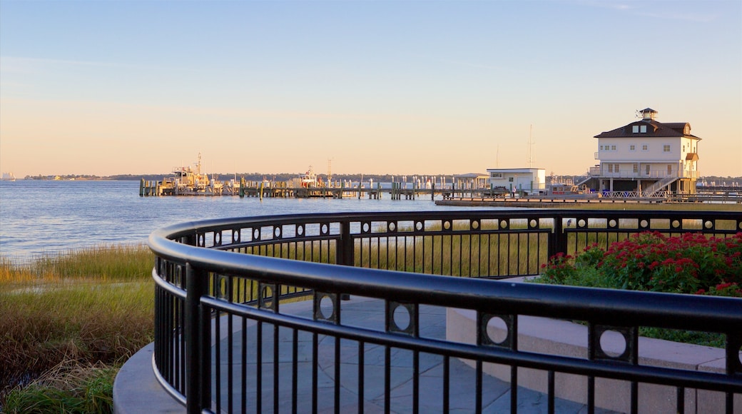 Charleston showing general coastal views, a sunset and views