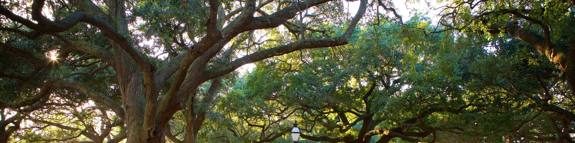 Charleston