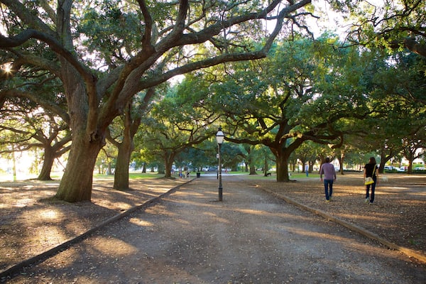 Charleston qui includes jardin