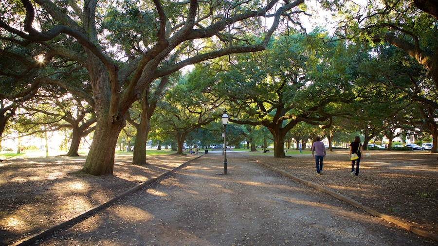 Charleston
