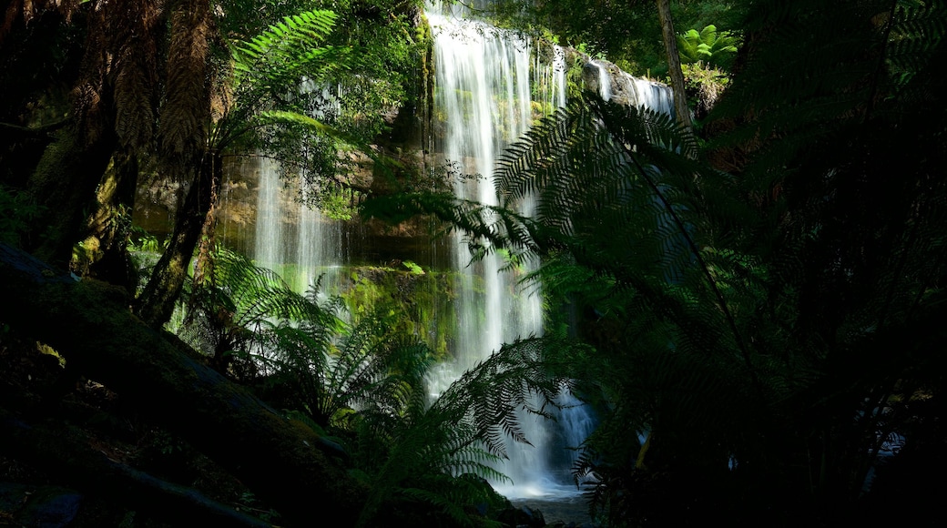 Mt. Field National Park which includes a cascade and forests