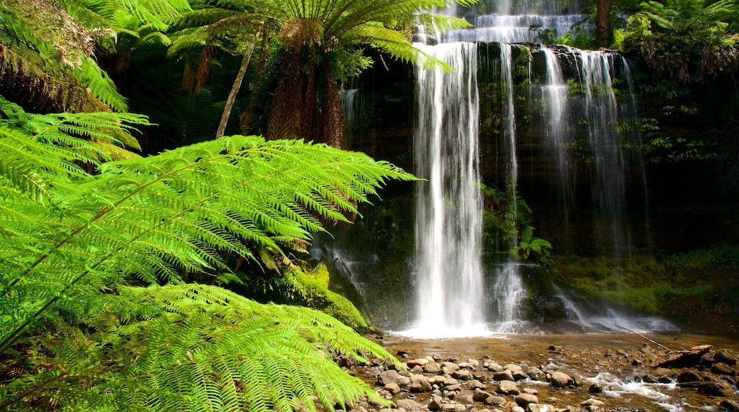 Midlands caracterizando florestas e uma cascata