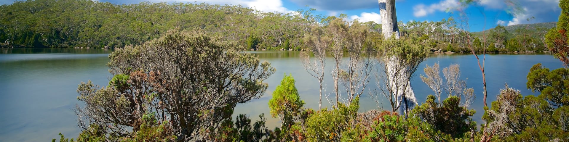 Mt. Field National Park