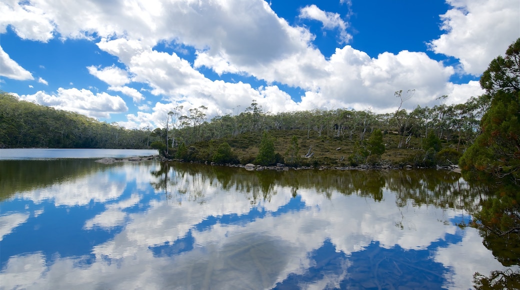 Midlands que incluye pantano y un río o arroyo