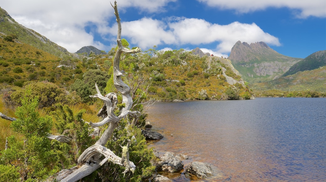 Cradle Mountain which includes a lake or waterhole and tranquil scenes