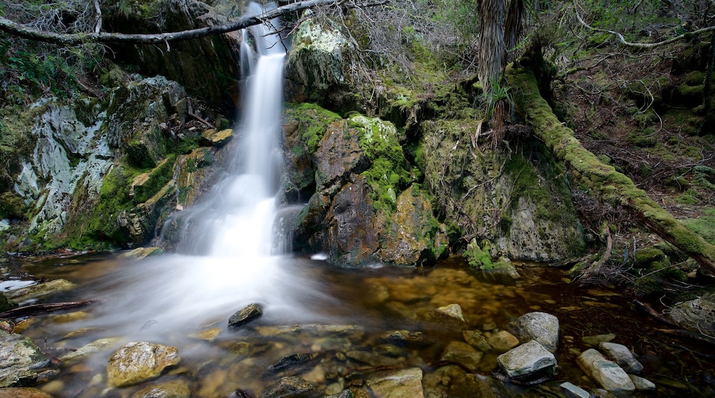 Cradle Mountain showing a cascade