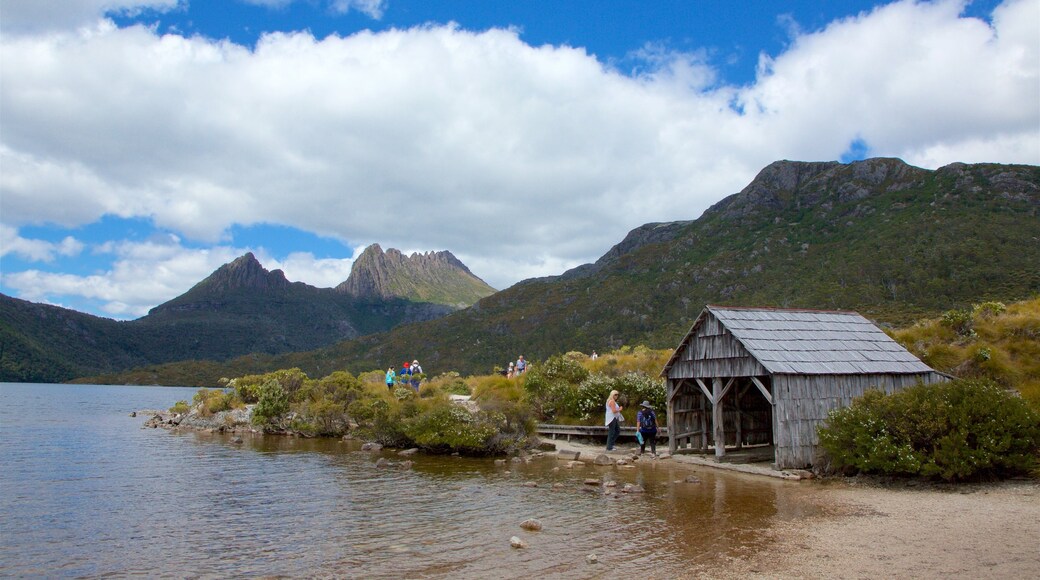 Dove Lake ofreciendo un lago o espejo de agua y escenas tranquilas