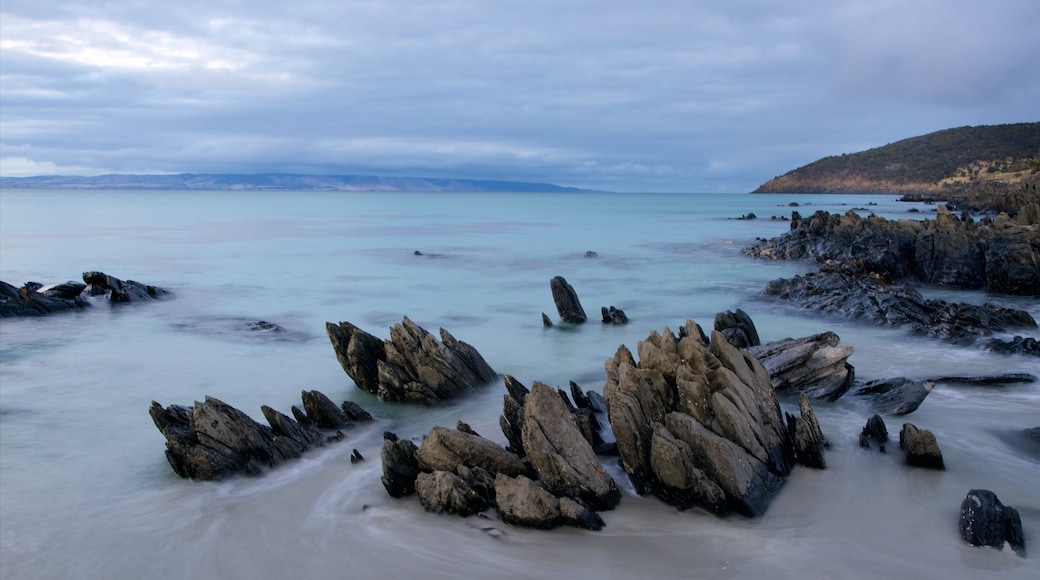 Penneshaw showing rugged coastline and general coastal views