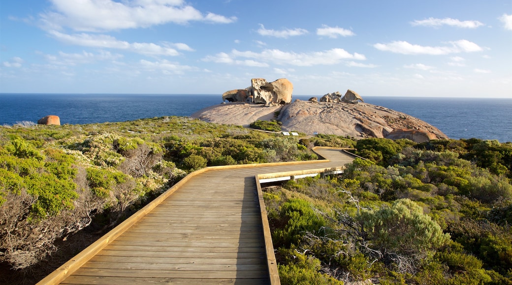 Flinders Chase National Park welches beinhaltet allgemeine Küstenansicht