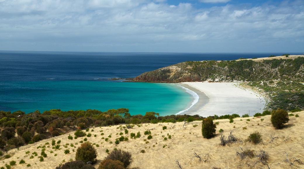 Snelling Beach montrant plage de sable et vues littorales