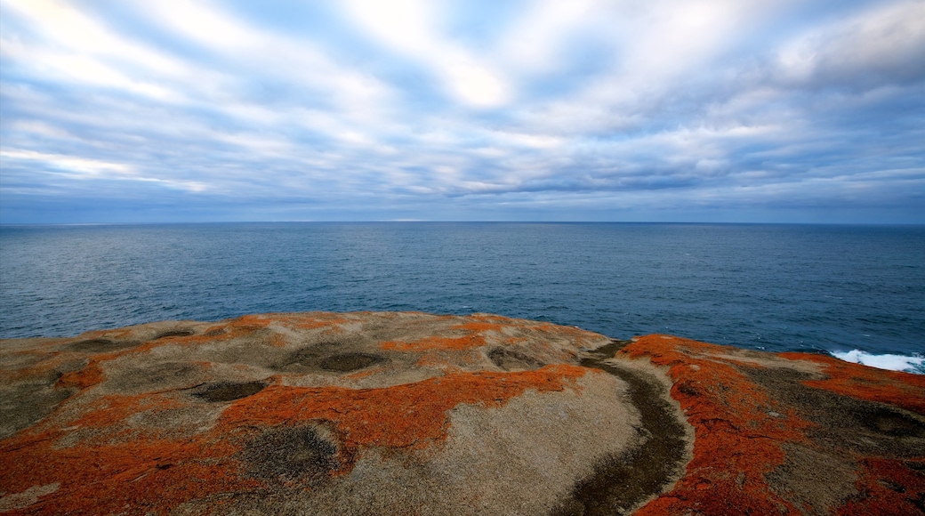 Flinders Chase National Park showing rugged coastline and general coastal views