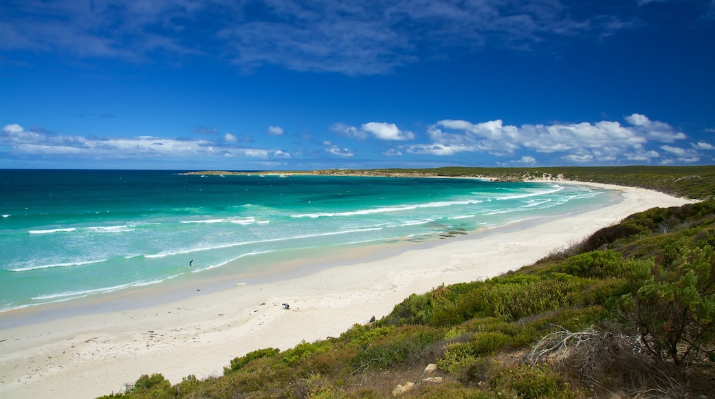 Vivonne Bay mit einem allgemeine Küstenansicht und Strand