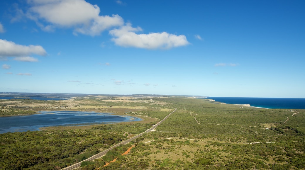 Pelican Lagoon