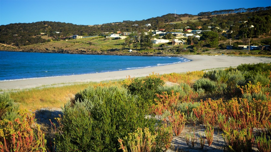 Penneshaw que incluye vistas de una costa, una playa de arena y una localidad costera