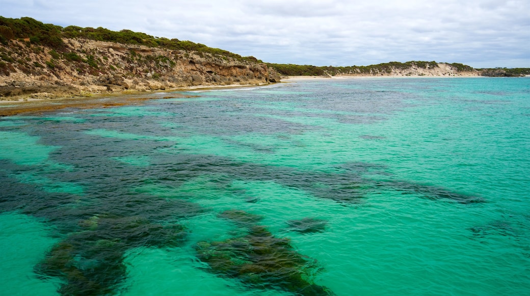 Vivonne Bay mit einem allgemeine Küstenansicht und schroffe Küste