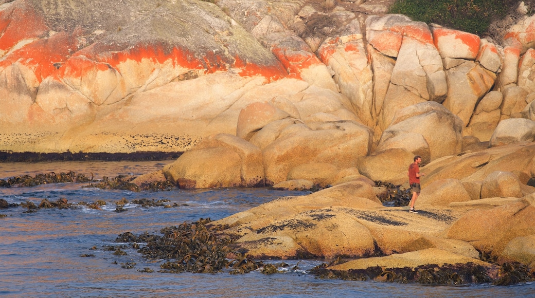 Binalong Bay which includes rugged coastline