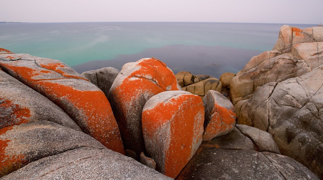 Binalong Bay which includes rocky coastline and general coastal views