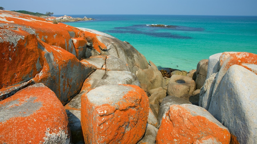 Binalong Bay