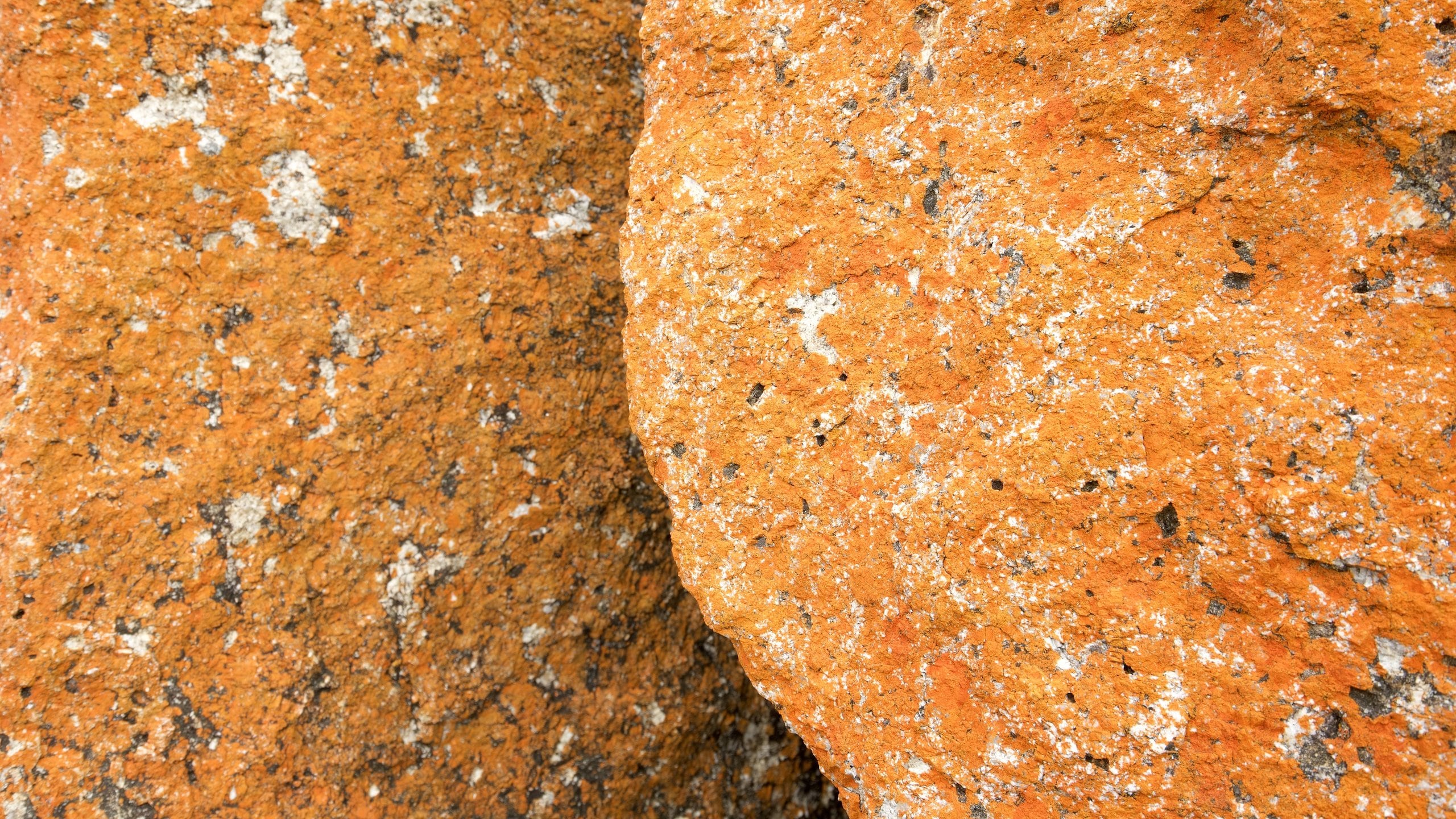 Visit Bicheno Best of Bicheno Tourism Expedia Travel Guide