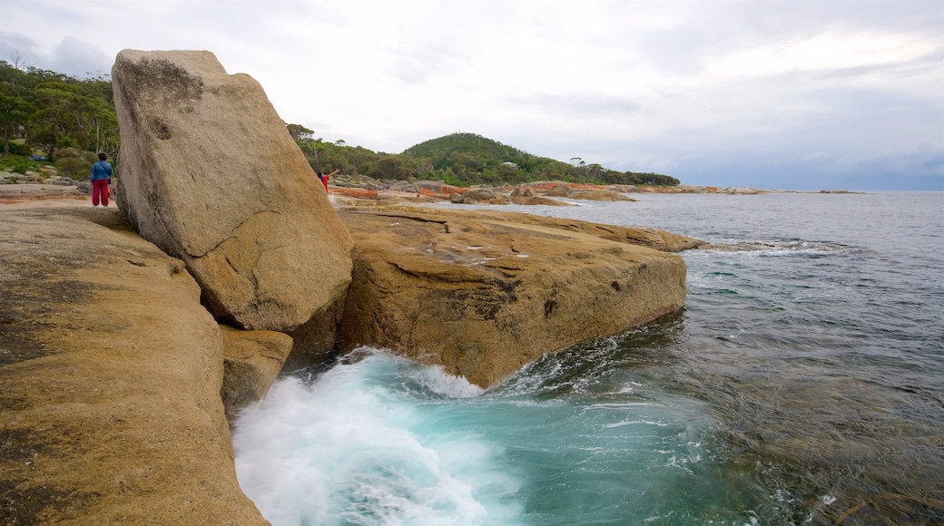 Côte est de la Tasmanie montrant vues littorales et côte rocheuse