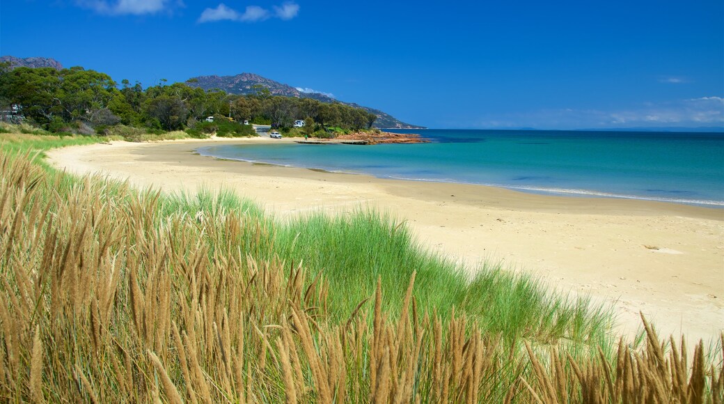 Coles Bay