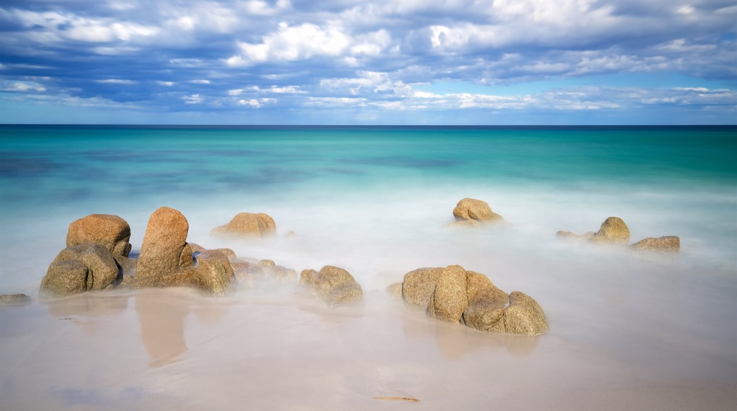 Coles Bay showing rugged coastline and general coastal views