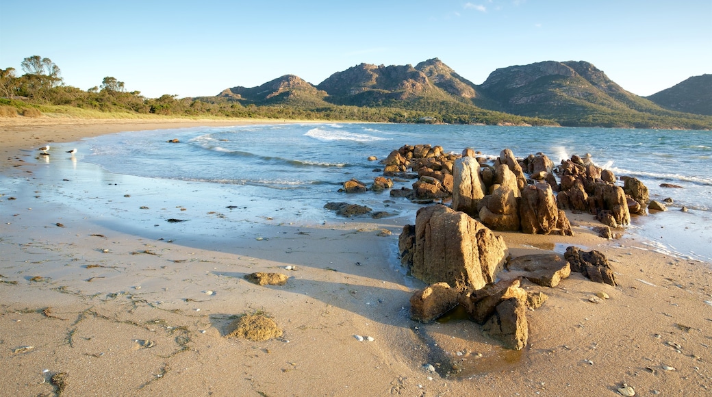 Coles Bay featuring rugged coastline, general coastal views and a beach