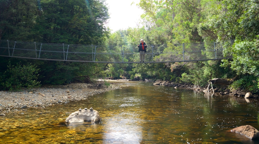 Midlands featuring a river or creek and a suspension bridge or treetop walkway as well as an individual femail