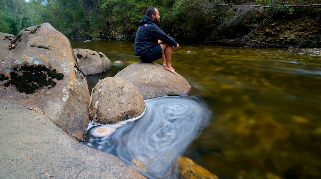 Parque Nacional Franklin-Gordon Wild Rivers mostrando un río o arroyo y paisajes forestales y también un hombre