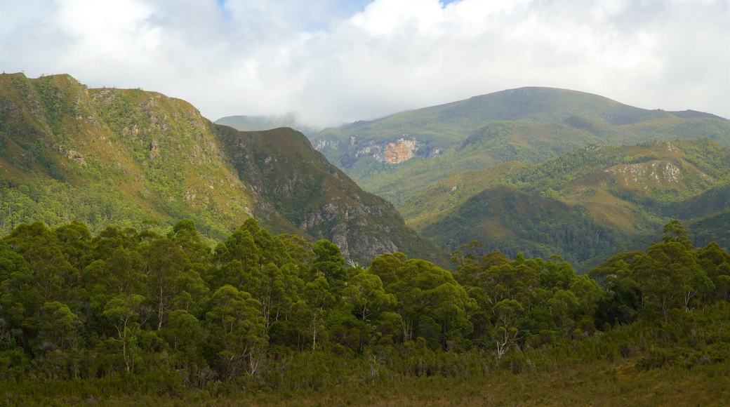 Midlands showing mountains, landscape views and tranquil scenes